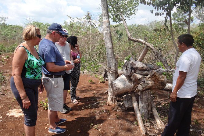 Playa del Carmen Cultural Day Tour - Final Thoughts