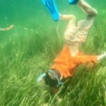 Premier Scalloping Adventure on Florida's Nature Coast - The Experience in Detail