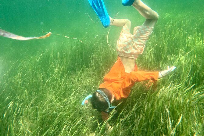 Premier Scalloping Adventure on Florida's Nature Coast - The Experience in Detail