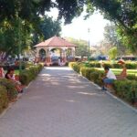 Premium Shore Excursion & Local Culture Tour - Cultural Highlights & Tasting Experience