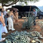 Private Artisanal Tequila Tour - Practical Details and Why They Matter