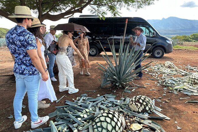 Private Artisanal Tequila Tour - Practical Details and Why They Matter