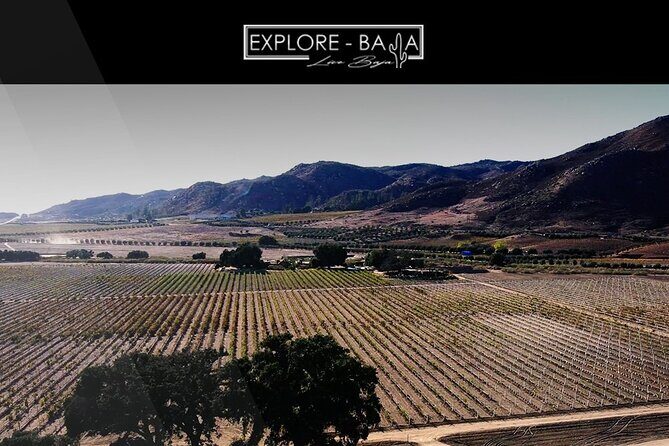 PRIVATE BAJA WINERIES EXPERIENCE (Transportation,concierge,custom schedule) - FAQs