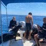 Private Balandra Bay Adventure - Price, Value, and Who It’s Best For