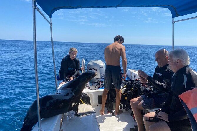 Private Balandra Bay Adventure - Price, Value, and Who It’s Best For