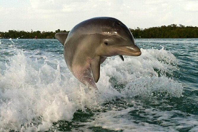 Private Beach or Sunset Boat Tour In Naples Florida - Whats Included and What to Consider