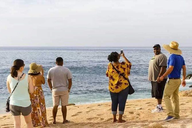 Private Cabo San Lucas City Tour - Why This Tour Is a Great Choice