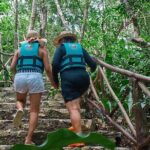 Private Cenote Experience, swim in the heart of the Mayan Jungle - Exploring the Cenotes