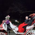 Private Christmas Lights Horse Carriage Tour In New York City - What’s Included and What’s Not