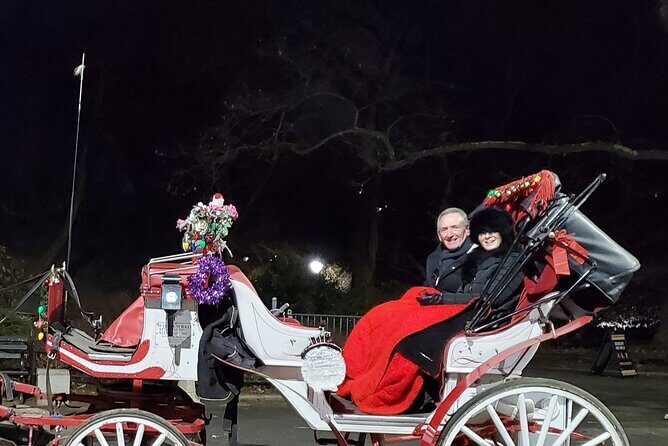 Private Christmas Lights Horse Carriage Tour In New York City - What’s Included and What’s Not