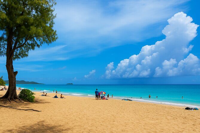 Private Circle Island Tour North Shore and East Side - Authenticity and Personal Touches