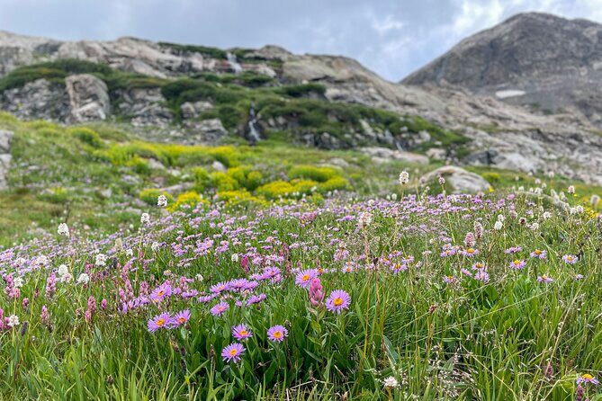 Private Colorado Backcountry 4x4 Off Road Adventure Tour - A Deep Dive into the Colorado Backcountry 4x4 Adventure