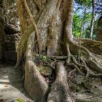 Private Community Tourism Experience in Calakmul - Authentic Experiences and Unique Insights