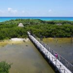 Private cozumel full day adventure - Transport and timing