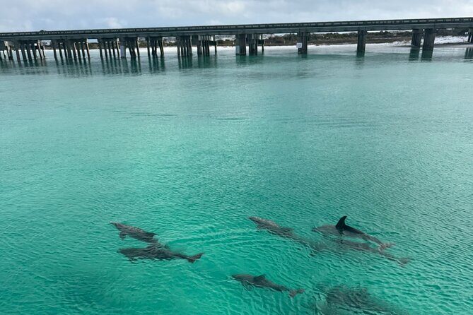 Private Destin Harbor Boat Tour Adventure - Who Will Love This Tour?