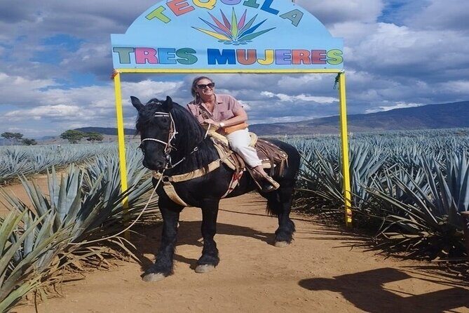 Private Experience of Tequila Town from Jalisco - Who Will Love This Tour?  
