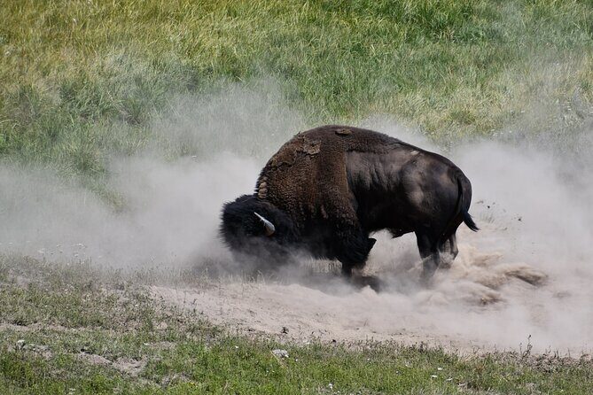 Private Full Day Tour of Yellowstone's Natural Wonders - Pricing and Value  