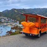 Private Guided City Tour up to 12 Passengers - Final Thoughts