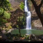 Private Guided Tour to Tapalpa with Transportation - What Makes This Tour Stand Out?