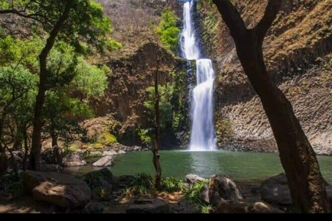 Private Guided Tour to Tapalpa with Transportation - What Makes This Tour Stand Out?