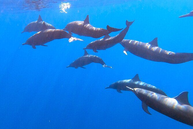 Private Huatulco Ocean, Bays & Coral Reef Snorkeling Adventures - What’s Included and What’s Not