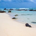 Private Jeep and 4x4 Polaris RZR Tour with Mexican Lunch - What Makes this Tour Stand Out?