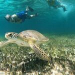 Private Jeep Tour & ATV to Jade Cavern Cenote: All Inclusive - Practical Details & What to Expect