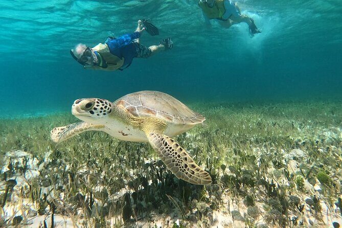 Private Jeep Tour & ATV to Jade Cavern Cenote: All Inclusive - Practical Details & What to Expect