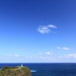 Private Kauai Island Tour : Waimea Canyon, Kalalau Lookout + More - Final Thoughts