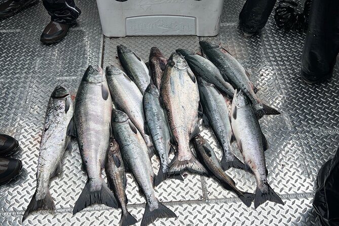 Private Ketchikan Wild Alaskan Salmon Fishing Trip - What to Expect During the Trip