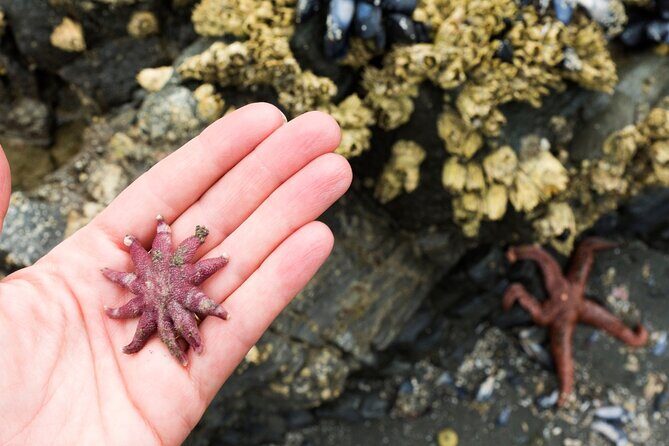 Private Ketchikan Wildlife and Sightseeing Tour - Why Choose This Tour?