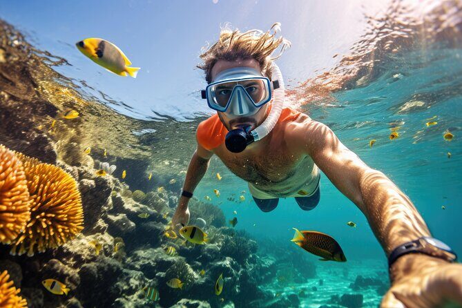 Private Key West Snorkeling Adventure - Authentic Insights from Reviewers