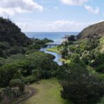 Private North Shore Oahu Tour ft. Waimea Falls-Customizable - The Guides Make the Difference