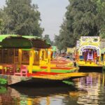 Private or Shared Tour Xochimilco Coyoacán and Frida Kahlo Museum - Authentic Insights from Reviews