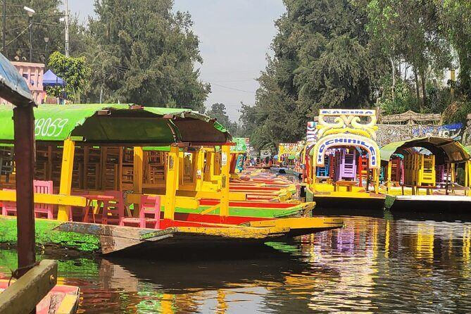 Private or Shared Tour Xochimilco Coyoacán and Frida Kahlo Museum - Authentic Insights from Reviews