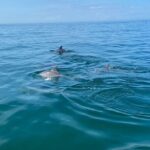 Private Panama City Beach Sunset Tour - The Itinerary in Detail