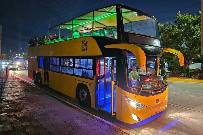 Private Party Bus Experience in Cancun - The Real Experience — Insights from Reviews