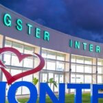 Private Round Trip Airport Transfer From Montego Bay Hotels - The Transfer Itself: What You Can Expect