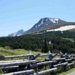 Private Scenic Turnagain Arm Glacier Tour from Anchorage - Why This Tour Offers Great Value