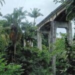 Private Shore Excursion Hilo Land of Frozen Fire up to 14 - Who Should Consider This Tour?