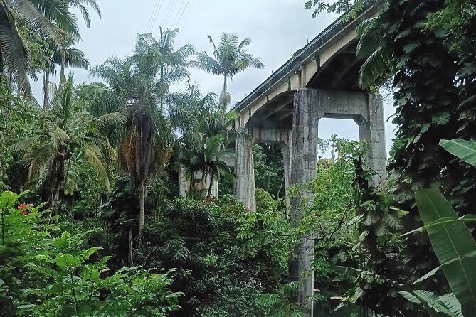 Private Shore Excursion Hilo Land of Frozen Fire up to 14 - Who Should Consider This Tour?