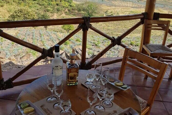 Private Tasting Tour Hacienda de Oro, Amatitan Jalisco - What You Get for Your $25