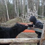Private Tour at Historic Alaska Dairy Farm - Who Is This Tour Best For?
