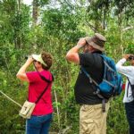 Private Tour: Birdwatching Cozumel Island - Why This Tour Offers Good Value