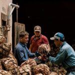 Private Tour Cascahuin Distillery and visit to Tequila - Tequila Selecto de Amatitán