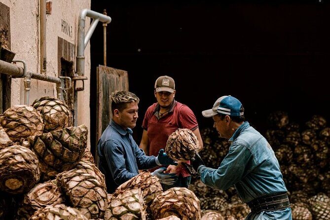 Private Tour Cascahuin Distillery and visit to Tequila - Tequila Selecto de Amatitán