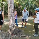 PRIVATE TOUR Chacchoben Mayan Ruins from Costa Maya - Final Thoughts on the Chacchoben Private Tour