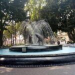 Private Tour Coyoacan & Frida Kahlo's Neighbourhood - Best Rated - Why This Tour Delivers Great Value