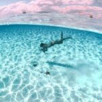 Private Tour in Cozumel El Cielo Sandbar and Reef Snorkeling - Who Should Consider This Tour?