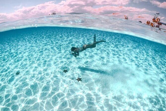 Private Tour in Cozumel El Cielo Sandbar and Reef Snorkeling - Who Should Consider This Tour?